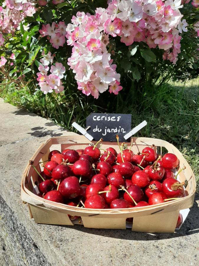 Au Chat Perche Bed & Breakfast Mareil-sur-Mauldre Exterior photo