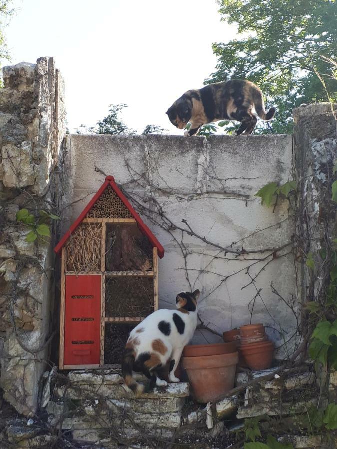 Au Chat Perche Mareil-sur-Mauldre Exterior photo